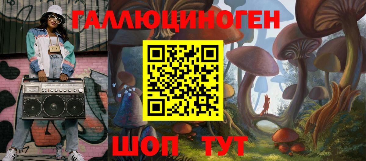 Псилоцибиновые грибы Psilocybe Домодедово