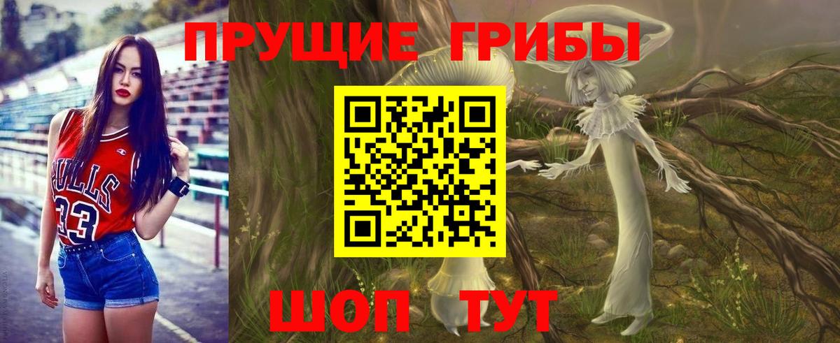 Домодедово  Псилоцибиновые грибы мухоморы  Вход с VPN  Галлюциногенные грибы Psilocybine cubensis 